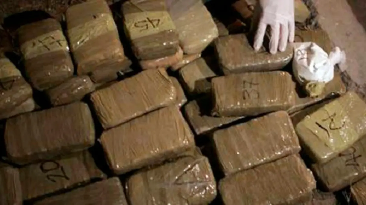 Policía colombiana incauta más de 97.000 kg de cocaína