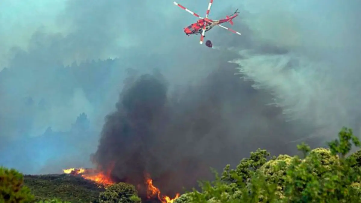 Incendio arrasa con 800 hectáreas en las islas Canarias