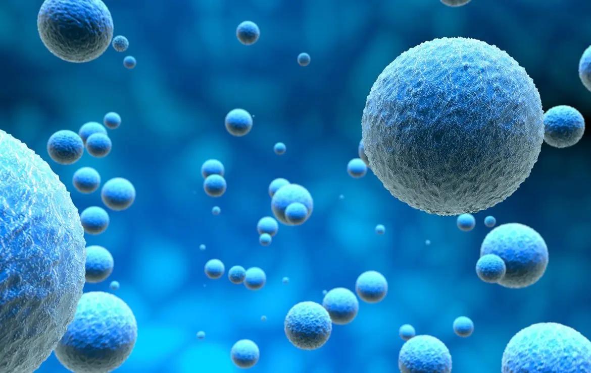 El trasplante de células madre antes de la inmunoterapia, clave en el cáncer infantil