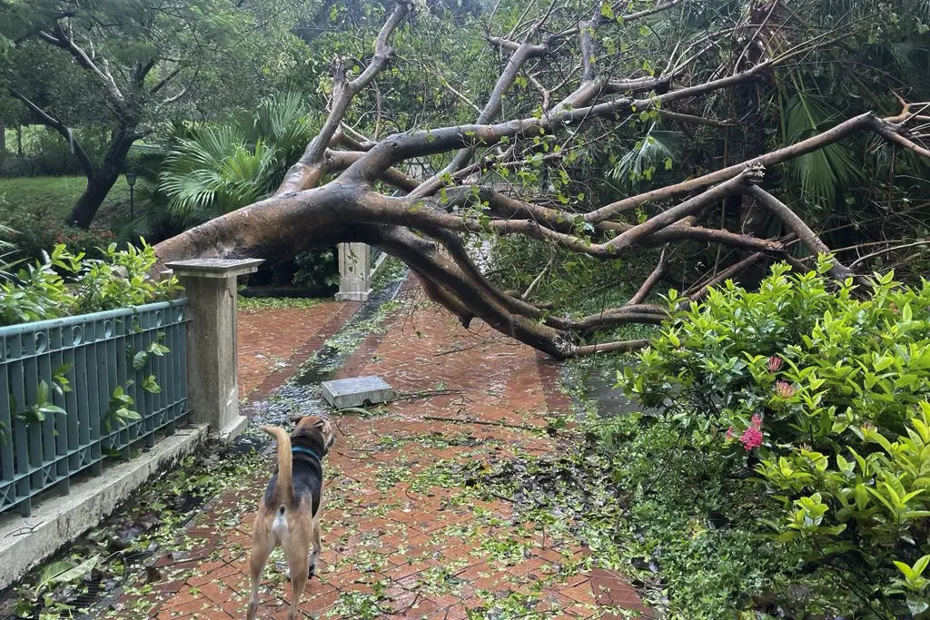 Al menos un muerto y más de 100 heridos por inundaciones en Hong Kong