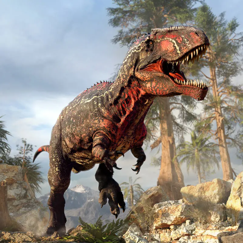 Descubren “excepcionales” fósiles de dos dinosaurios en el norte de China
