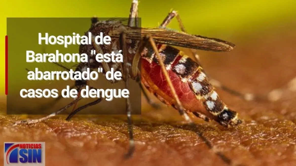 Entrevista a infectólogo Clemente Terrero