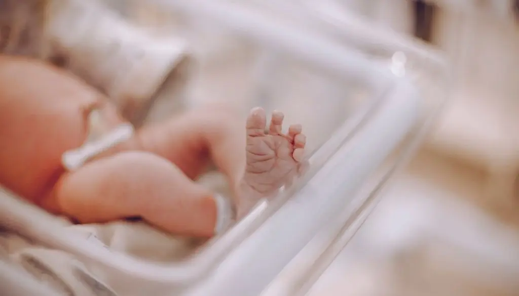 Francia registró en 2022 su menor número de nacimientos desde 1945