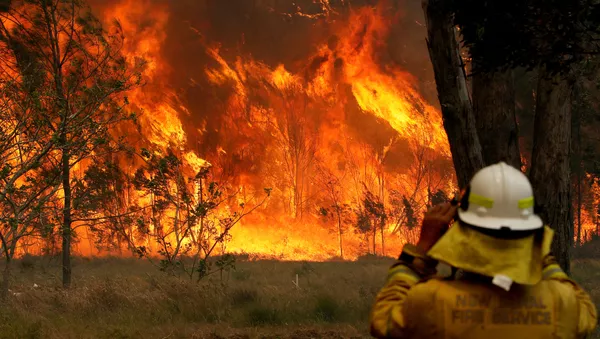 Al menos dos muertos a raíz de incendios forestales en noreste de Australia