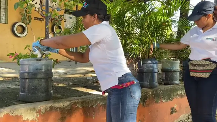Salud Pública inicia jornada de fumigación contra el dengue