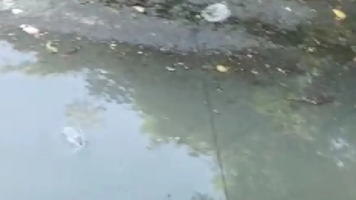 Piden intervención de la CAASD en el Ensanche Ozama