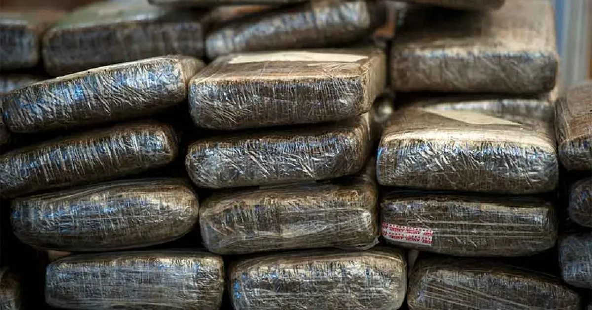 Detienen hombre en Venezuela con más de 400 kilos de marihuana