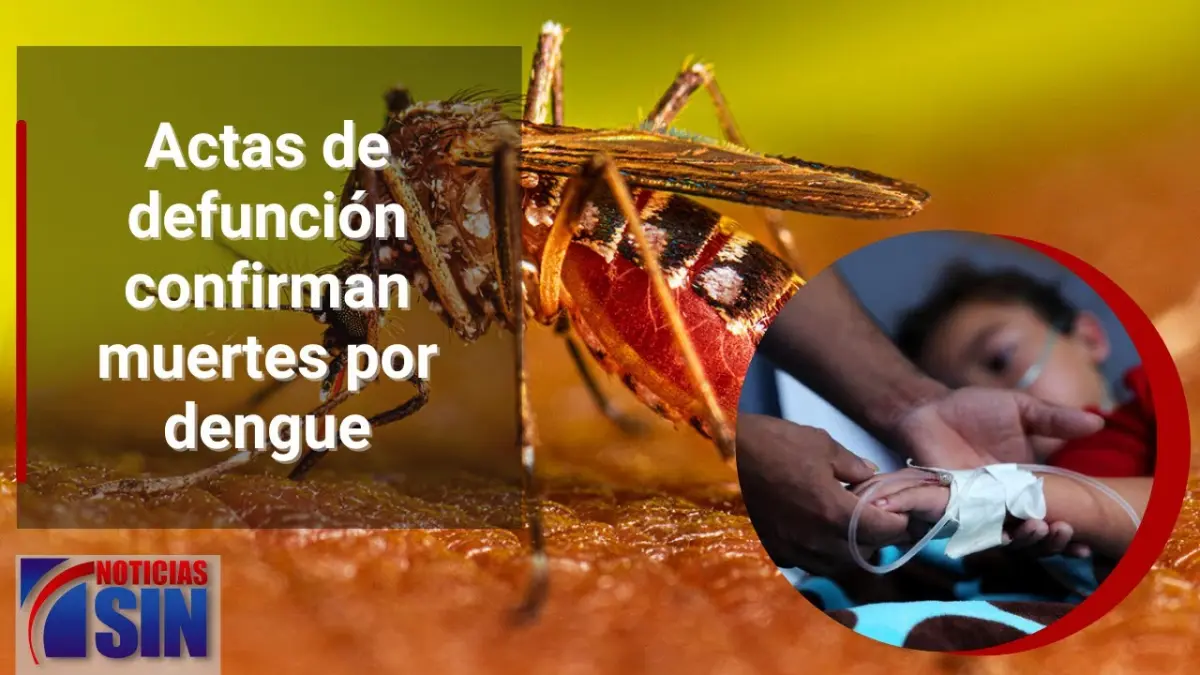 #EmisiónEstelarSIN: Frontera, dengue y ayuda