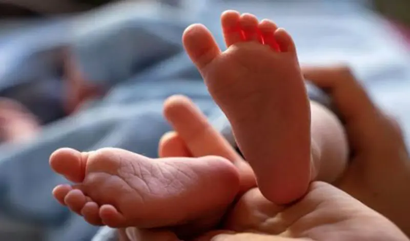 Buscan “zacateca” encargado de sepultar bebés hallados en el Cristo Salvador