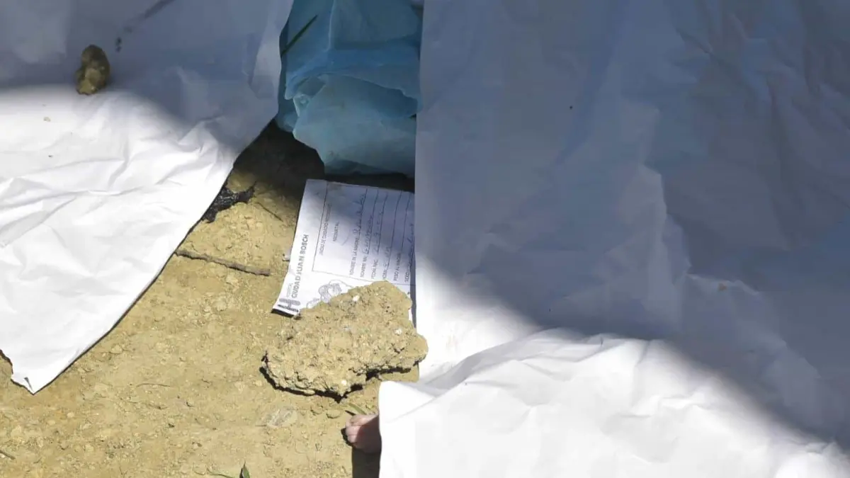 Encuentran seis cadáveres de recién nacidos