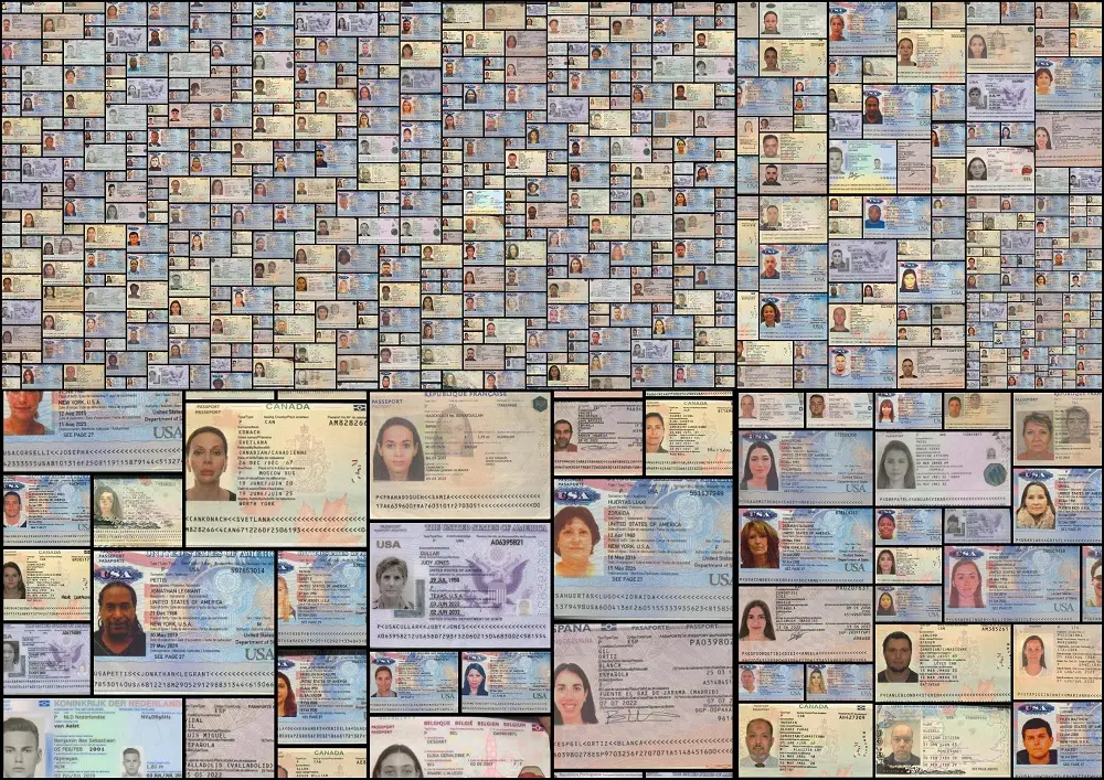 Subasta de datos sustraídos de Migración termina en menos de media hora; pudieran ser publicados