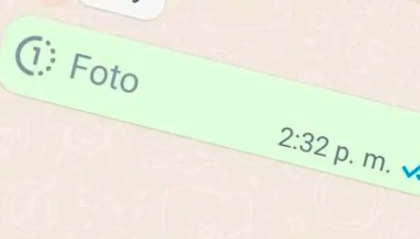 Cómo descargar las fotos que solo se ven una vez en WhatsApp