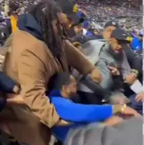 Fanáticos del Licey y Águilas se enfrentan a puños en el Citi Field