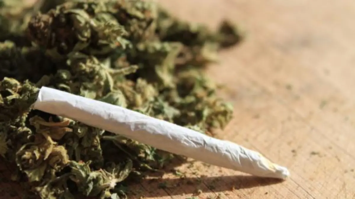 Adictos al cánnabis tienen más riesgo de sufrir cáncer de pulmón