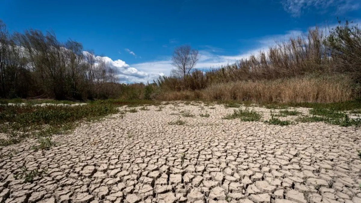 Estudio científico indica que un tercio de las personas aún duda sobre el cambio climático