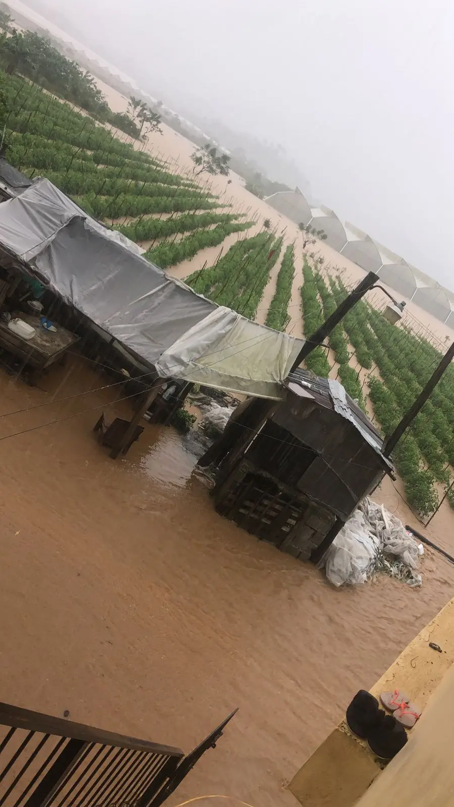 Piden al gobierno declarar a Ocoa en estado de emergencia