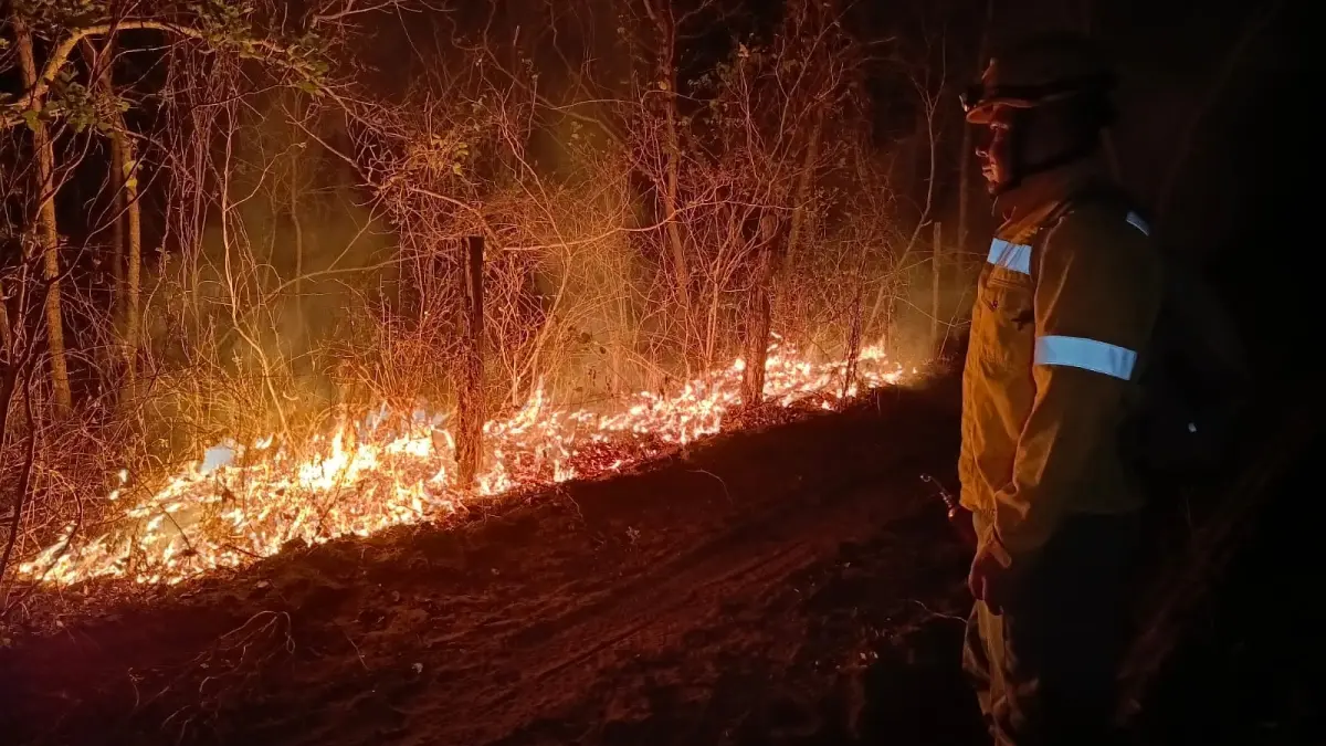 Bolivia informa de siete incendios forestales, dos dentro de sus reservas naturales