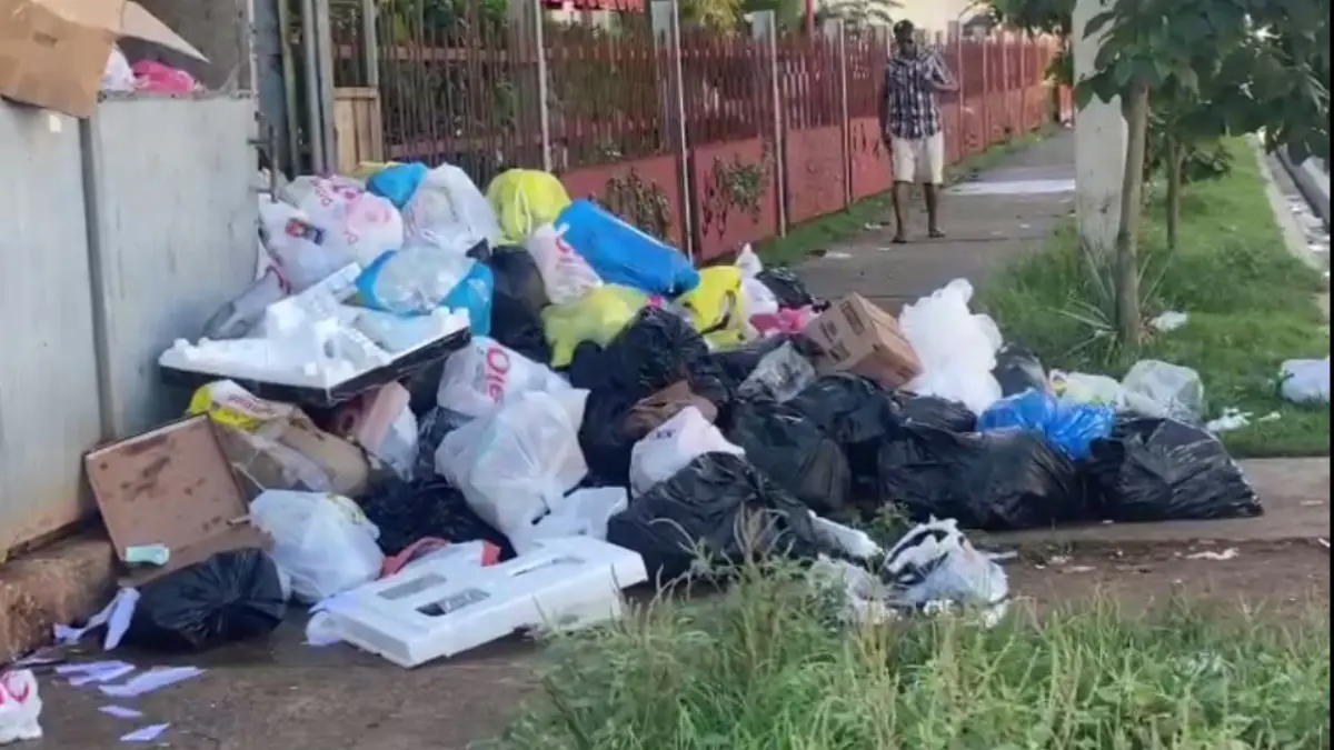 Ciudad Juan Bosch vive entre cúmulos de basura
