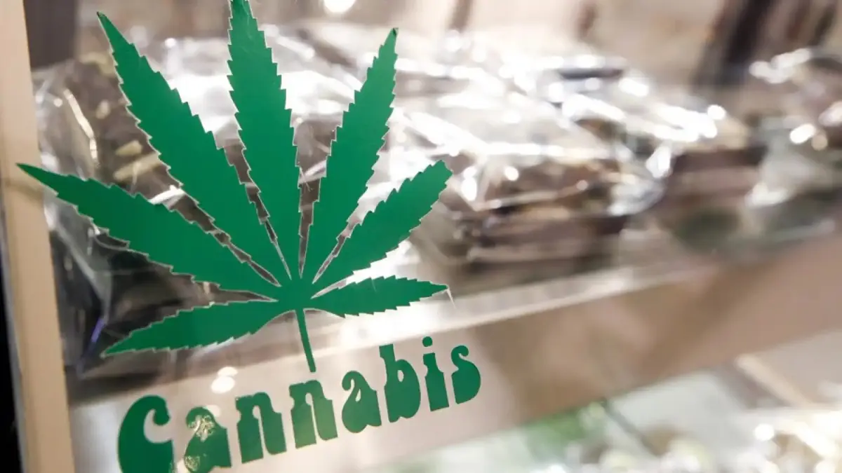 Nueva York dará casi 1.500 licencias para negocios de marihuana en las próximas semanas