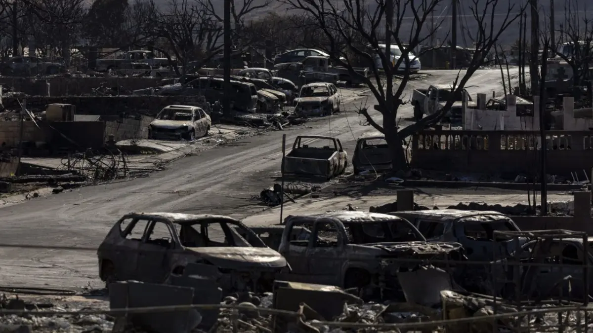 20 de las catástrofes climáticas del 2023 costaron más de 360 euros