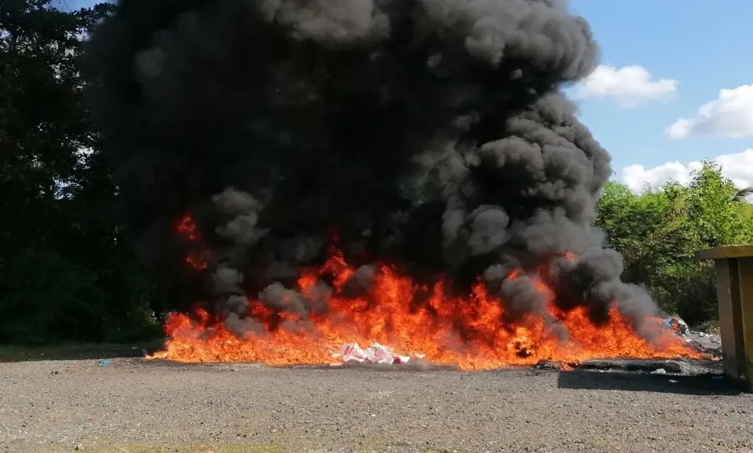 La Procuraduría quema otros 204 kilogramos de distintas drogas