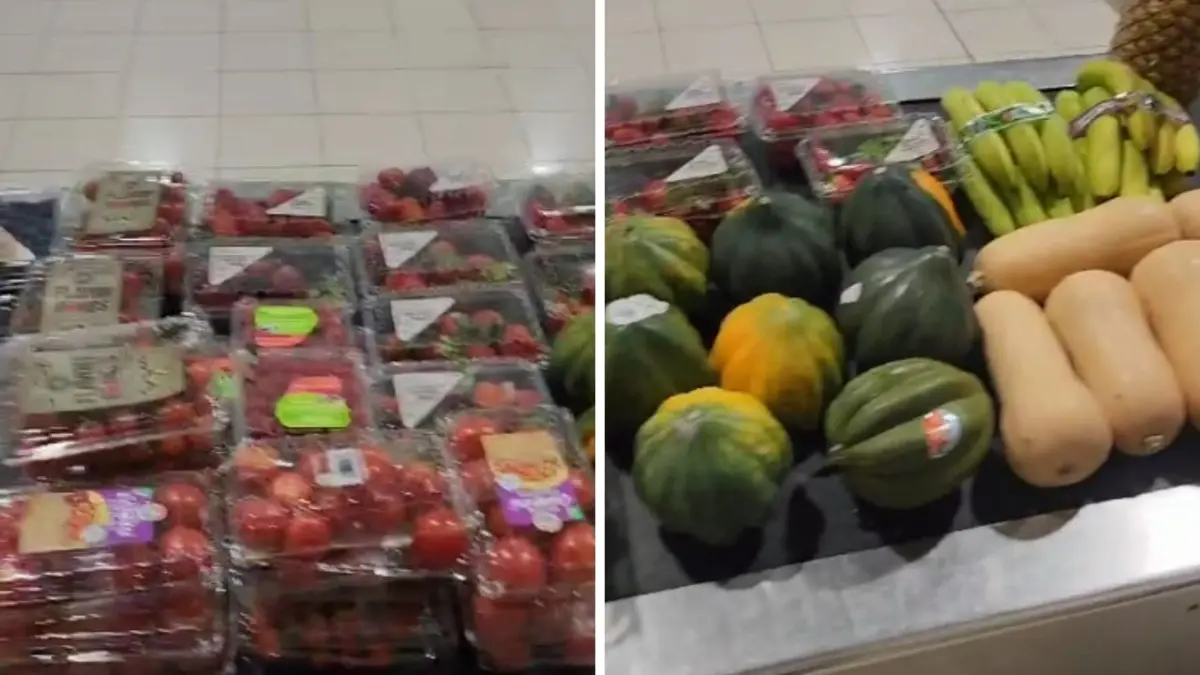 Decomisan kilos de frutas y vegetales a Julio Iglesias en Aeropuerto de Punta Cana