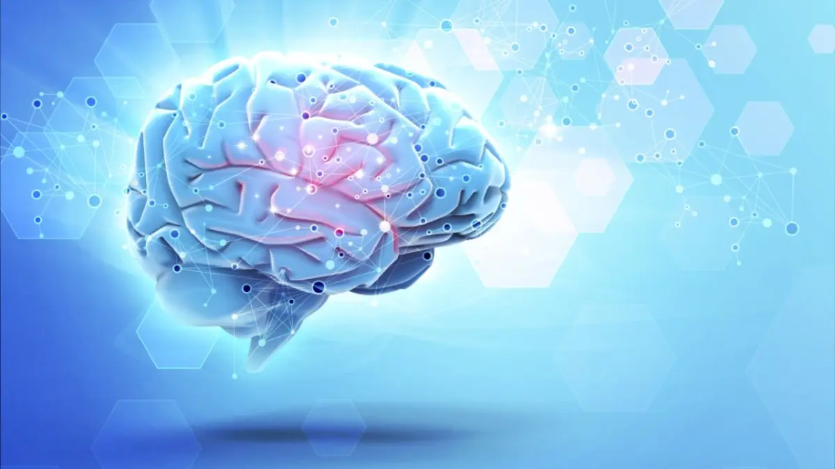 Las células que almacenan la información en la memoria mejoran su función con el tiempo