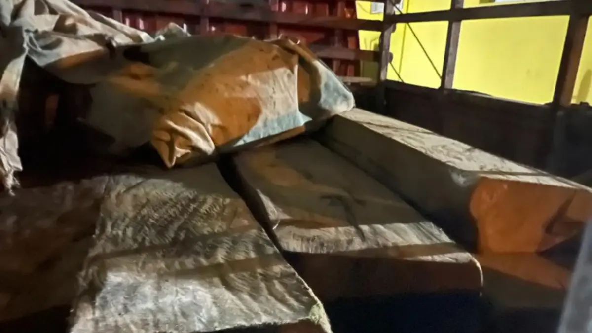 Medio Ambiente captura a hombre que traficaba con ébano verde