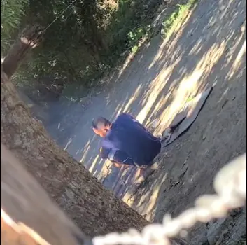 Denuncian haitianos matan gatos para comer en San Juan