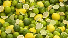 Cl&uacute;ster del Lim&oacute;n alerta sobre riesgos fitosanitarios por importaci&oacute;n de productos agr&iacute;colas