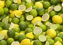 Cl&uacute;ster del Lim&oacute;n alerta sobre riesgos fitosanitarios por importaci&oacute;n de productos agr&iacute;colas