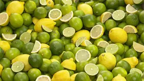 Cl&uacute;ster del Lim&oacute;n alerta sobre riesgos fitosanitarios por importaci&oacute;n de productos agr&iacute;colas