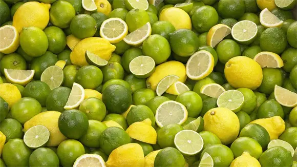 Cl&uacute;ster del Lim&oacute;n alerta sobre riesgos fitosanitarios por importaci&oacute;n de productos agr&iacute;colas