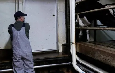 Menores hasta de 13 años eran empleados ilegalmente para limpiar mataderos en EE.UU.