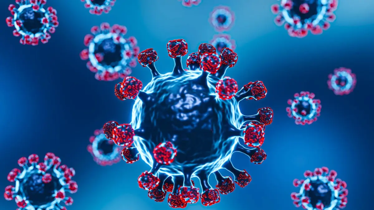 Nuevo anticuerpo logra bloquear variantes del SARS-CoV-2 en el laboratorio