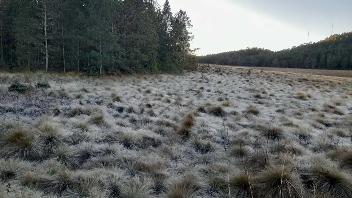 Valle Nuevo sigue registrando temperaturas bajo 0