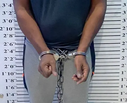 RD entrega en extradición dominicano buscado por narcotráfico en EE.UU.