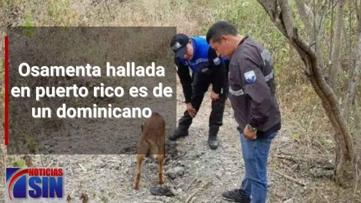 #EmisiónEstelarSIN: Alianzas, osamenta y muerte