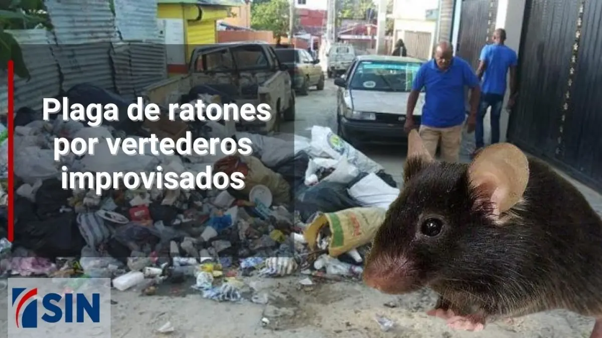 #EmisiónEstelarSIN: Perdidos, vertederos y plaga