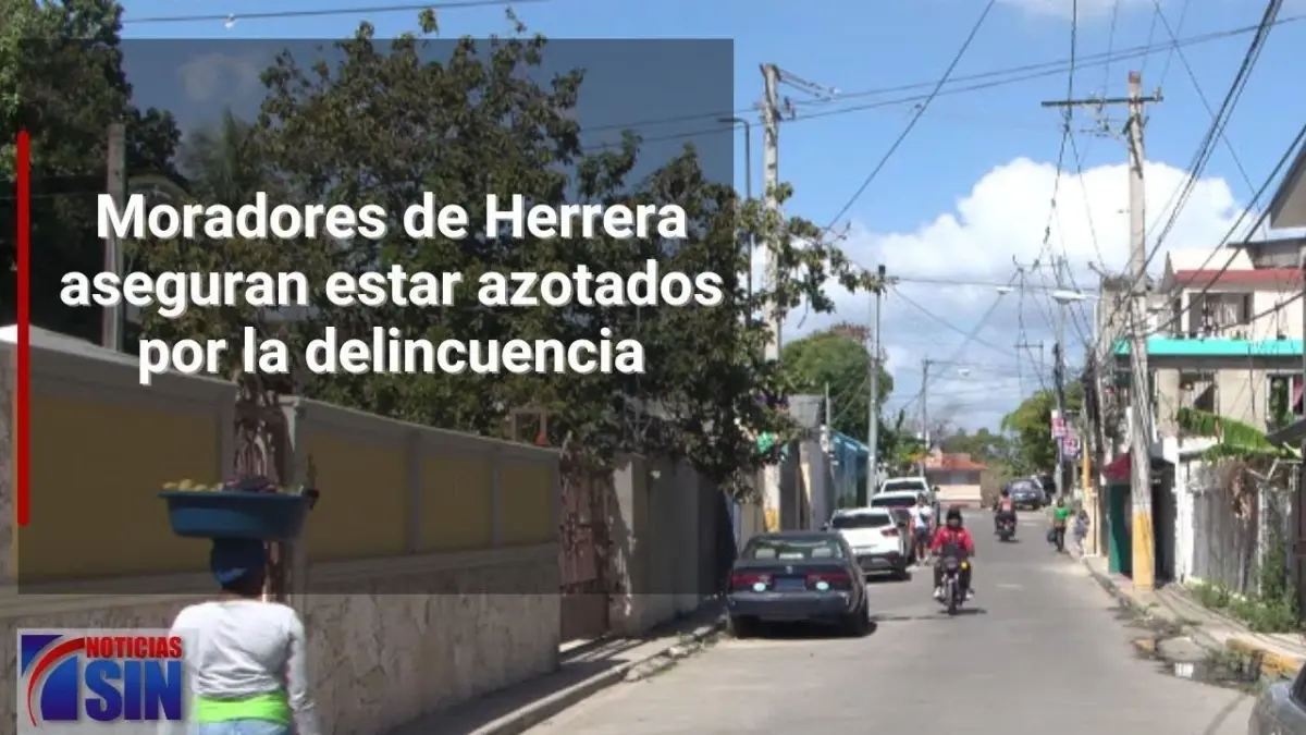 #SINFindeSemana: Delincuencia, asesinato y cotizaciones