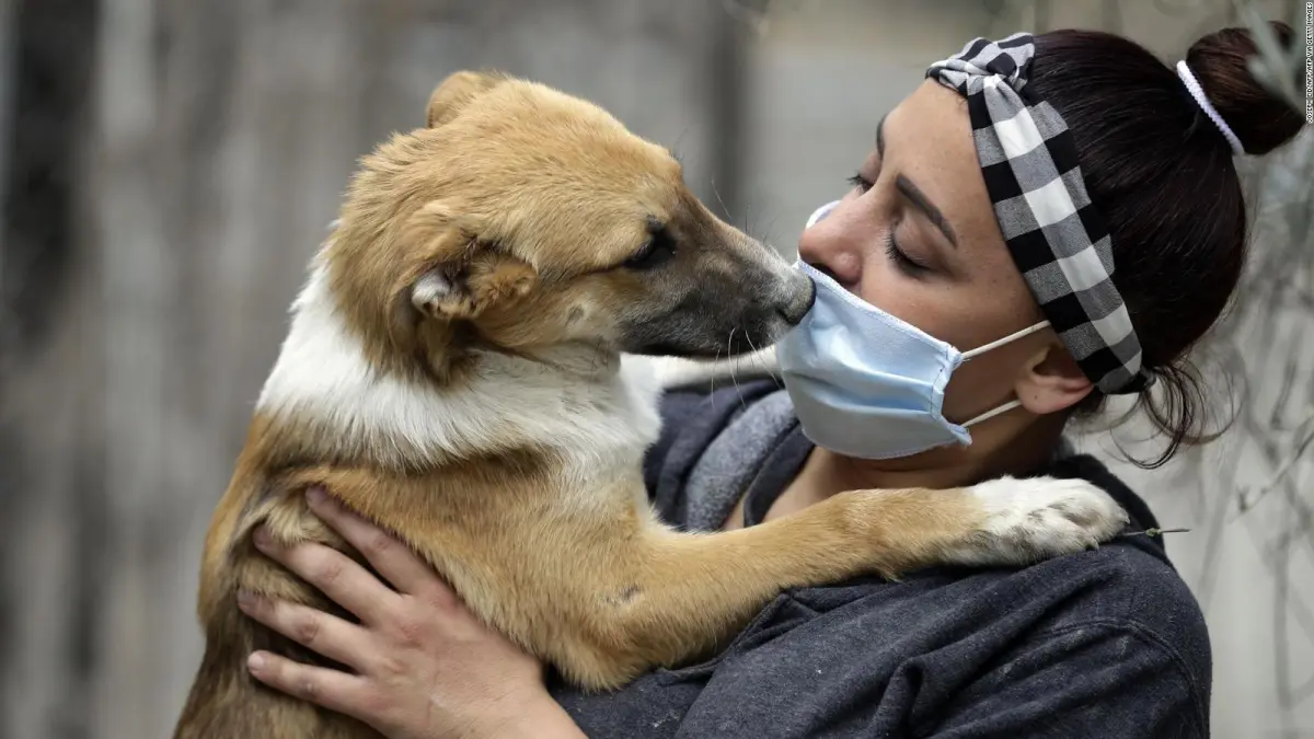 Los humanos transmiten más virus a los animales que al contrario, según estudio