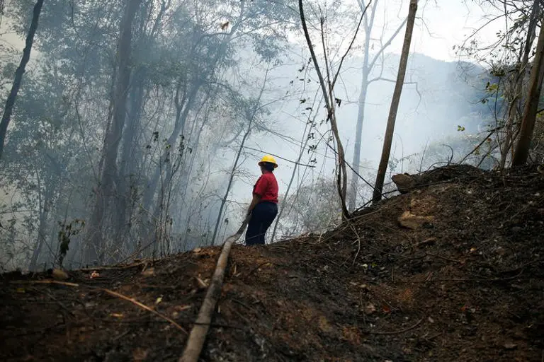 Autoridades combaten incendios forestales en parques del centro de Venezuela