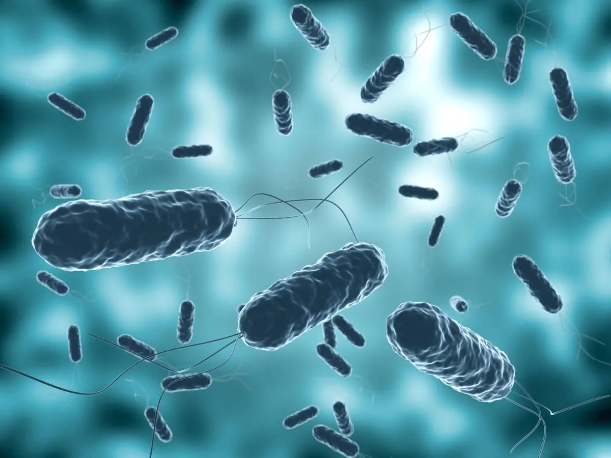 OMS alerta del agravamiento del brote mundial de cólera