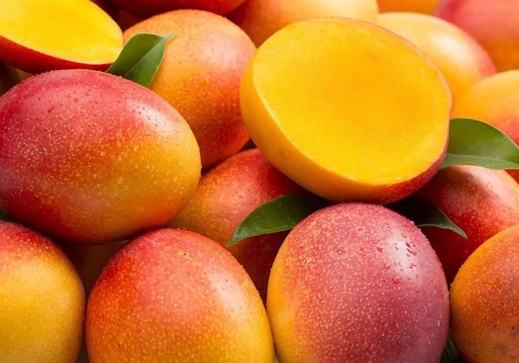 Ecuador exportará mangos a Corea del Sur y llega a 59 mercados de destino para esta fruta