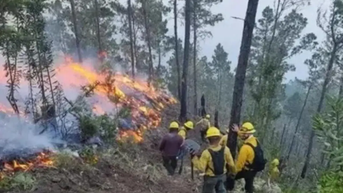 Sofocan incendio en Parque Nacional José del Carmen Ramírez