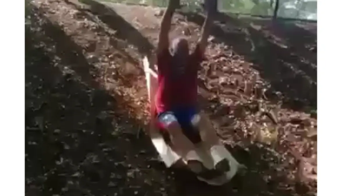 Reacción de Jaime David Fernández al debate presidencial