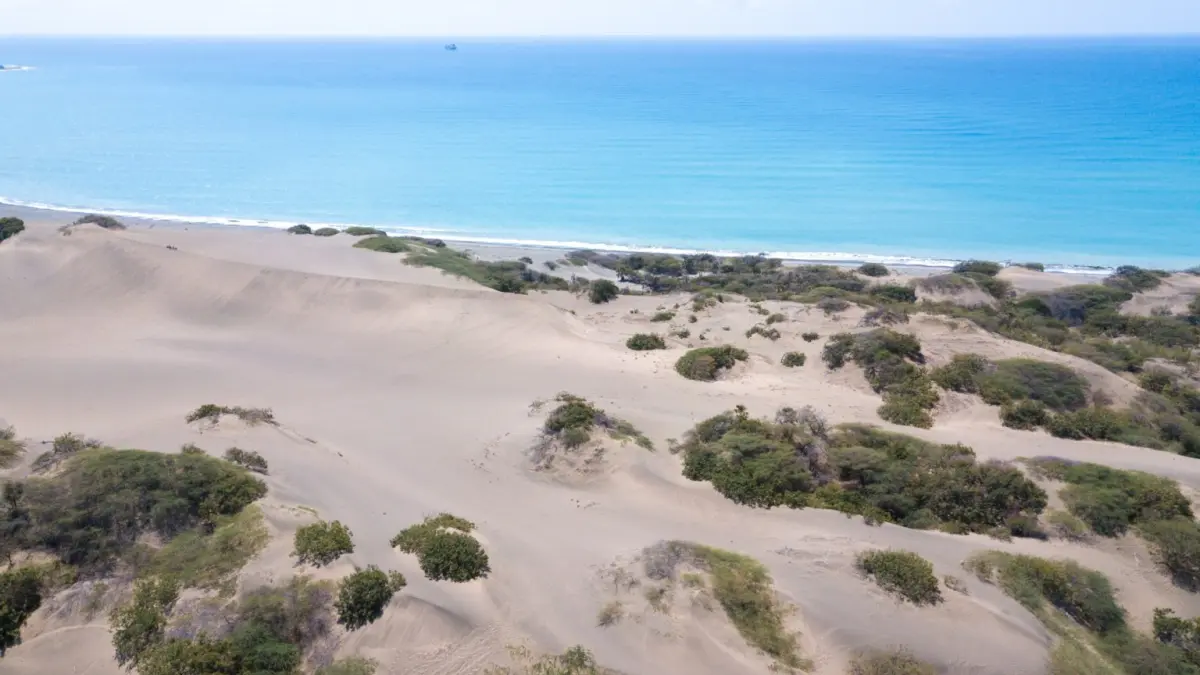 Medio Ambiente mantiene vigilancia en las Dunas de Baní