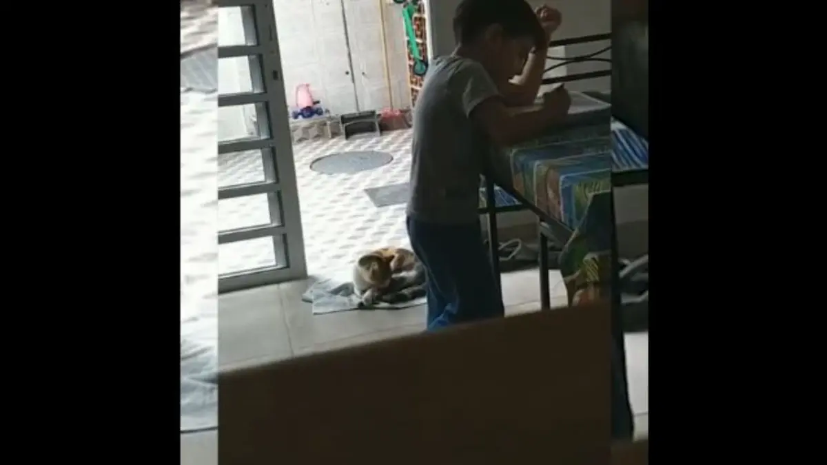 Niño resuelve tarea de matemáticas con Alexa y se hace viral