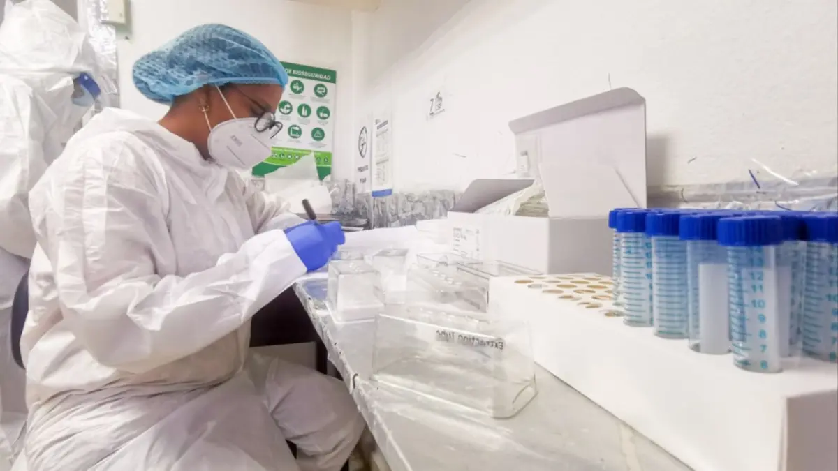 Día Nacional del Bioanalista, una pieza fundamental en la medicina