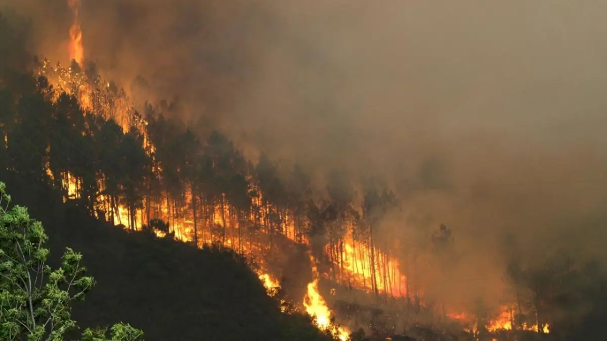 Incendios forestales en Honduras afecta más 208,000 hectáreas